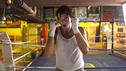 ROCKY - Das Musical wird von den Klitschkos und Sylvester Stallone unterstützt