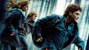 Harry Potter und die Heiligtümer des Todes, Teil 1 Harry Potter und die Heiligtümer des Todes