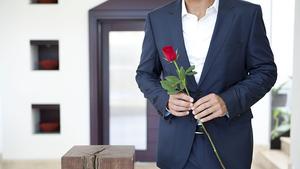 Der Bachelor 2013: Die Suche nach der Traumfrau geht wieder los Der Bachelor 2013: Ein Traummann auf der Suche nach seiner Traumfrau