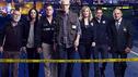 Die Biographien der CSI: Vegas-Stars!