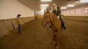 Bauer sucht Frau - Das Leben ist (k)ein Ponyhof