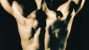Licht und Schatten von Testosteron