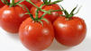 Rezept f&uuml;r eine Tomatensuppe