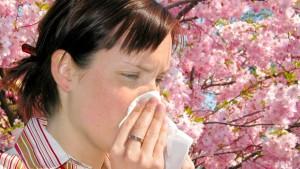 Die günstigsten Heuschnupfen-Mittel für Allergiker