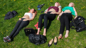 Die acht dümmsten Fehler im Frühling