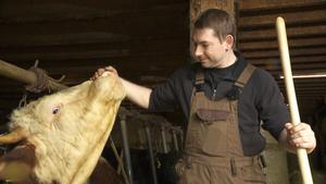 Bauer sucht Frau 2013: Markus – der romantische Rinderwirt Markus, der romantische Rinderwirt