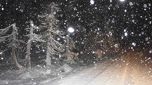 Regen, Schnee & Frost - mitten im Mai!