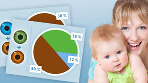 Babys Augenfarbe vorhersagen