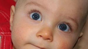 Babys Augenfarbe vorhersagen Babys Augenfarbe vorhersagen
