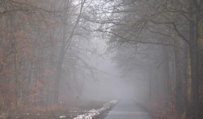 winterfit