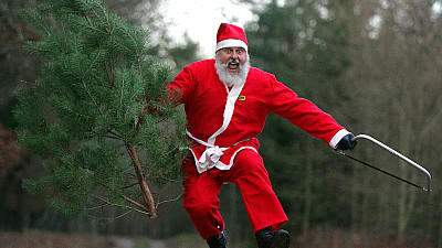 Weihnachtsbäume