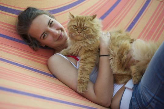 Single mann katze The Quiet Man () - IMDb