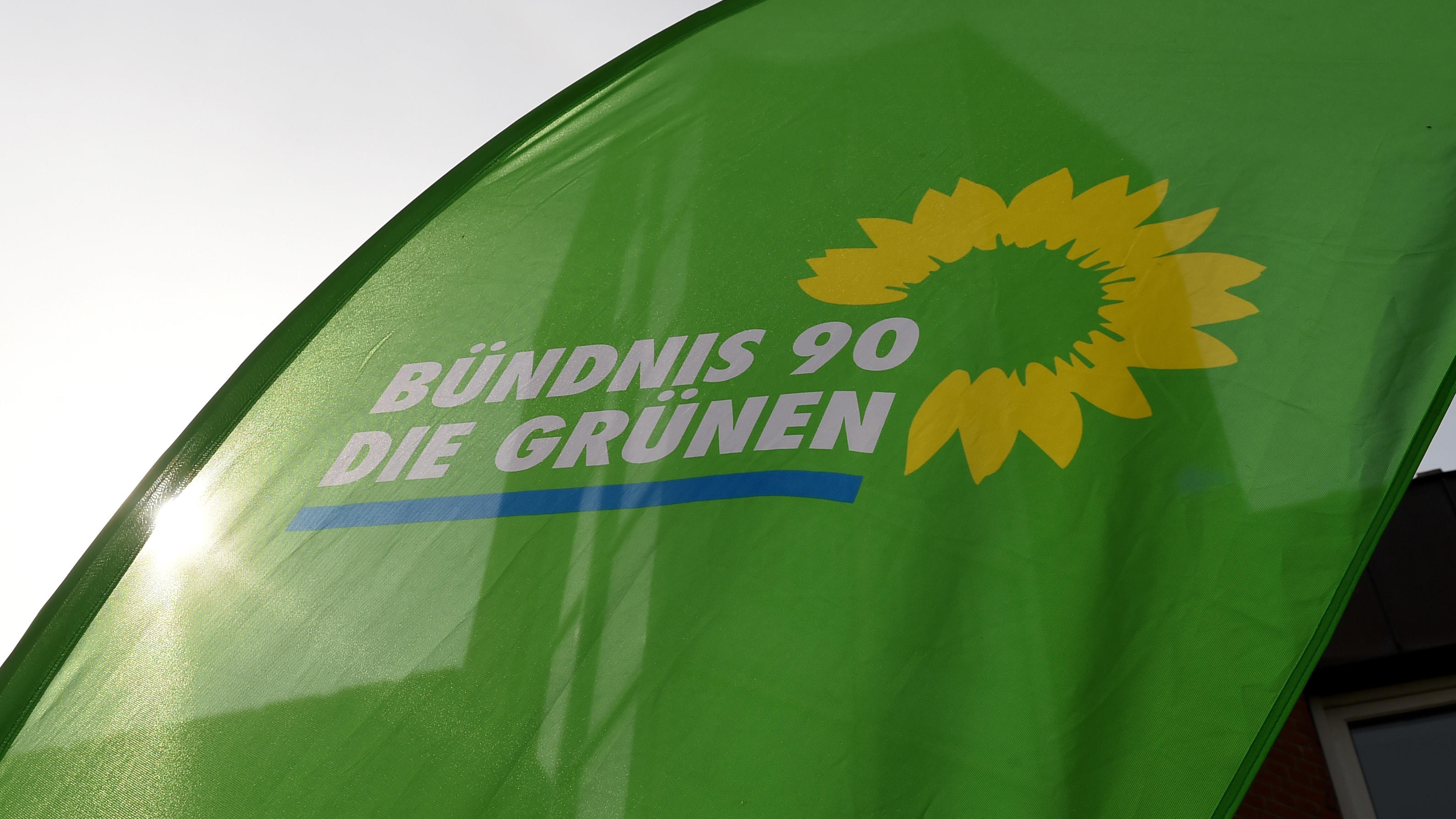 B&uuml;ndnis 90/Die Gr&uuml;nen - Bild