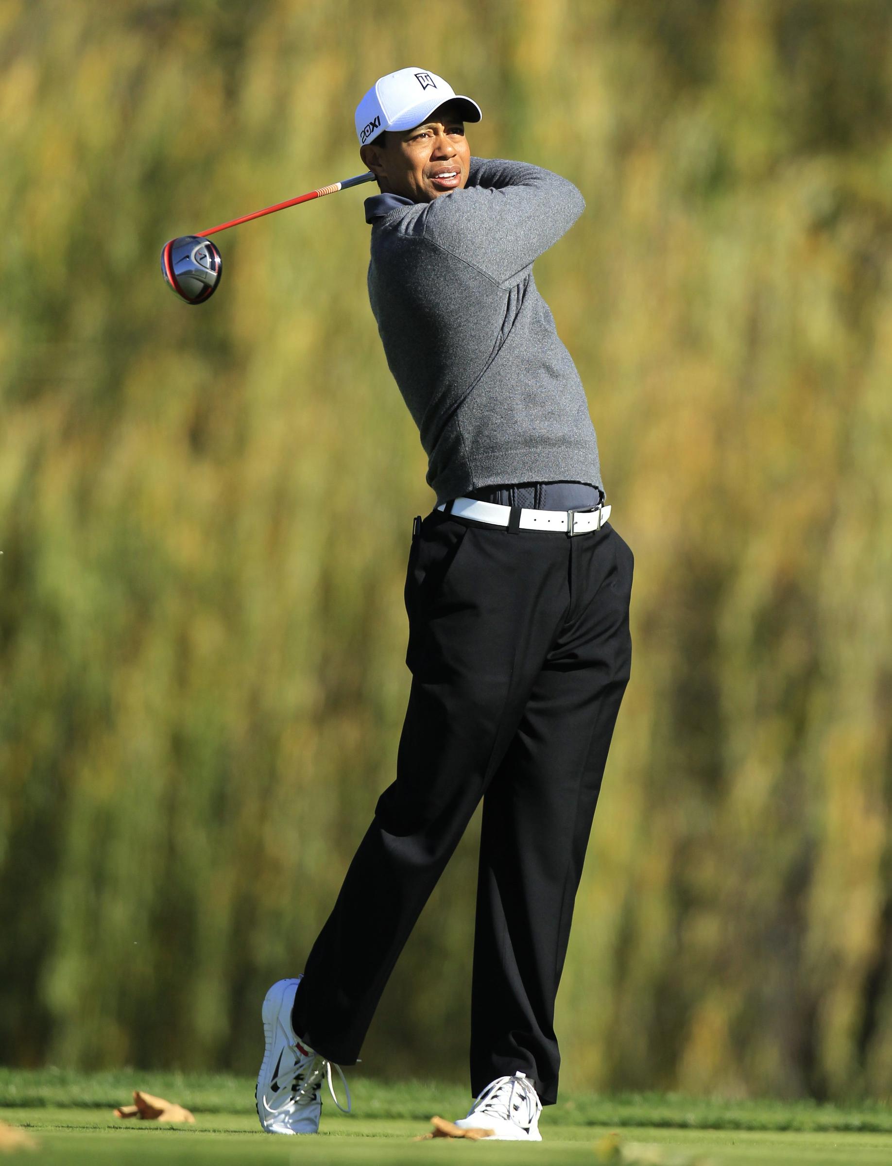 Alles zu Tiger Woods Tiger Woods - Bild